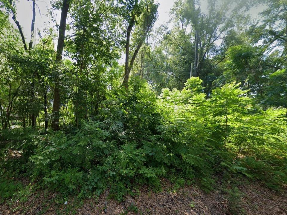 12213-NW-157TH-STREET-Alachua-FL-32615